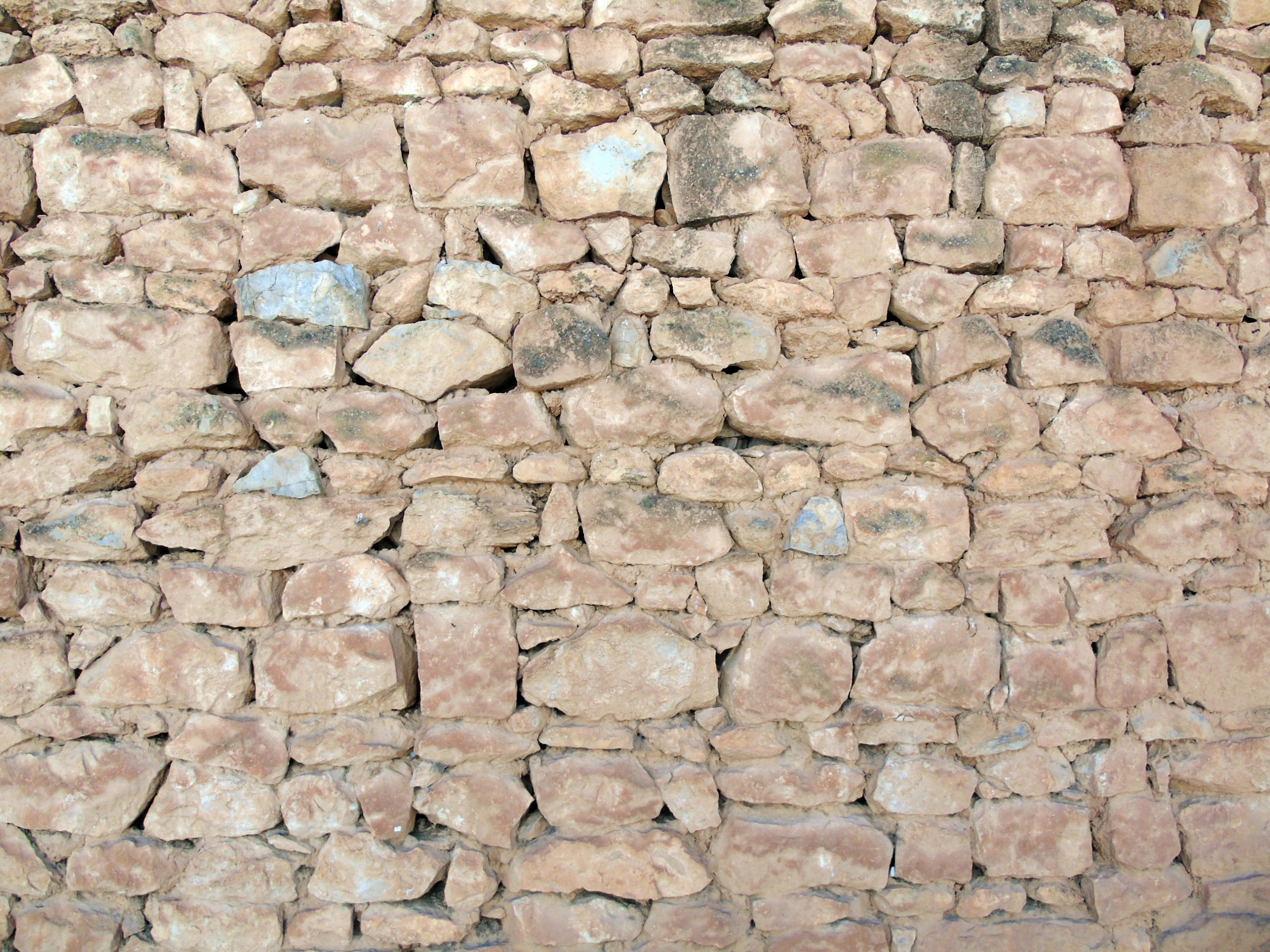 Longares-(45)