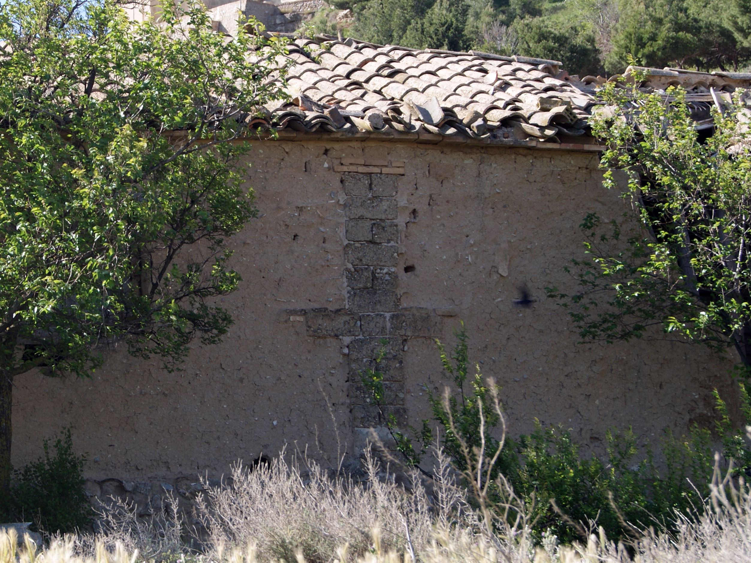 Magallon-(2)