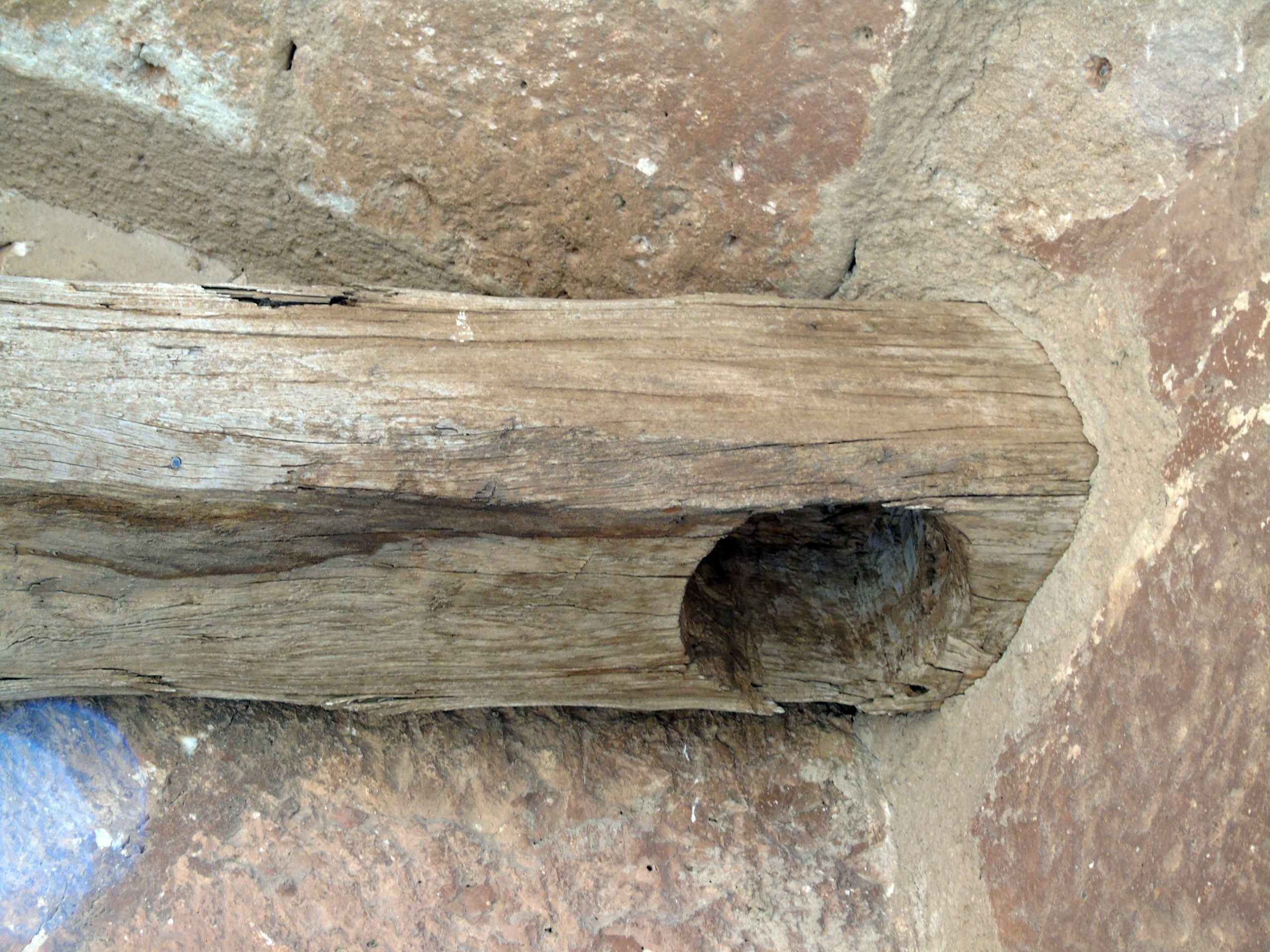 Cervera-(80)