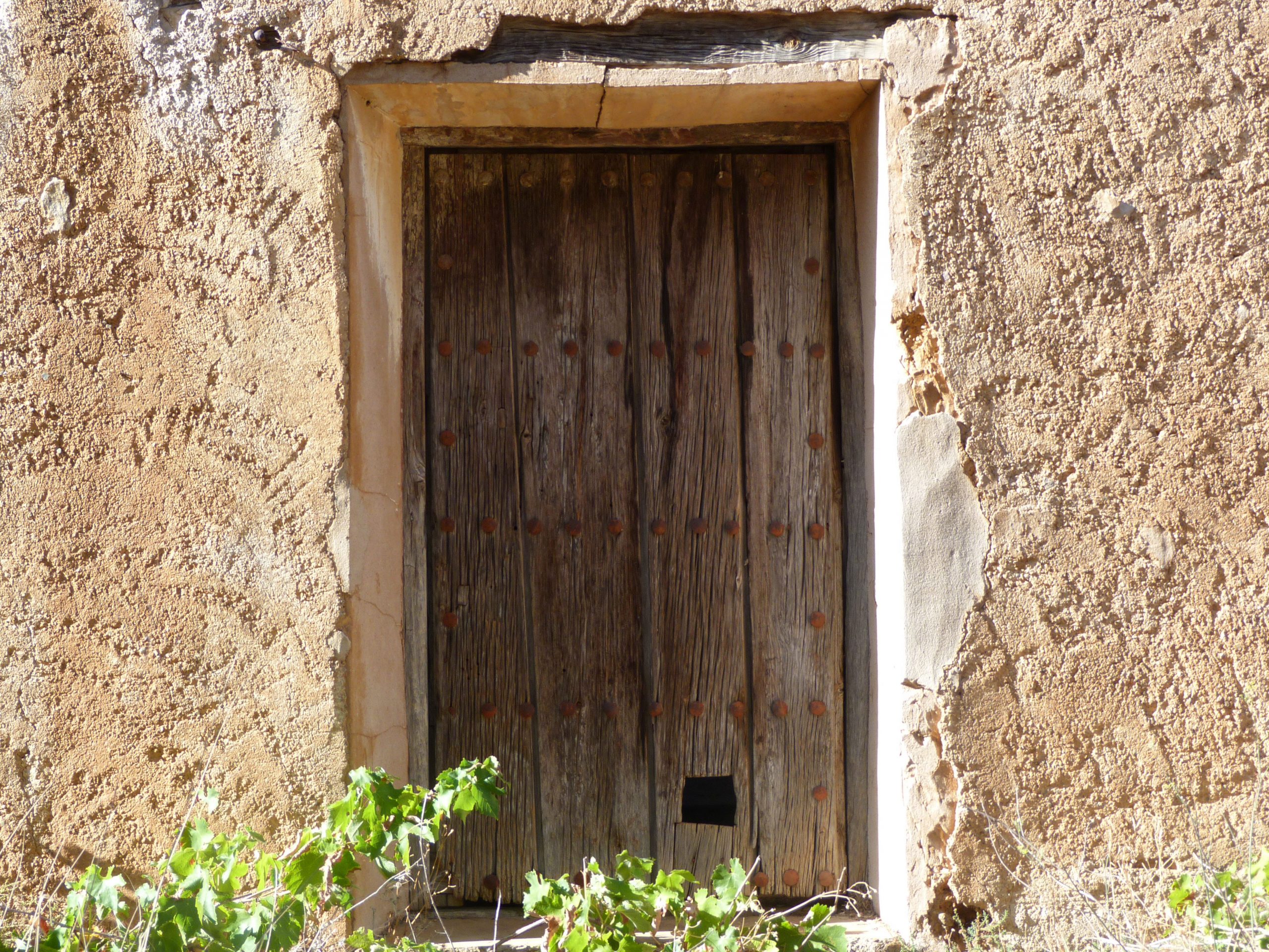 Cosuenda-(30)