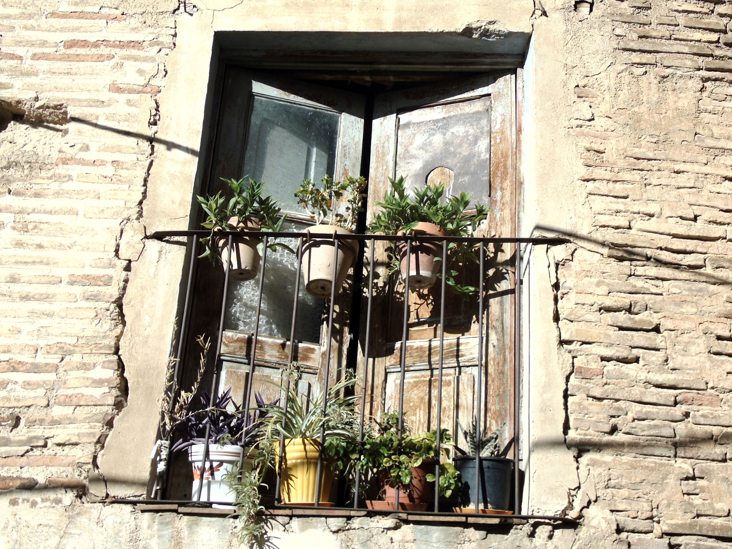 Daroca-(196)