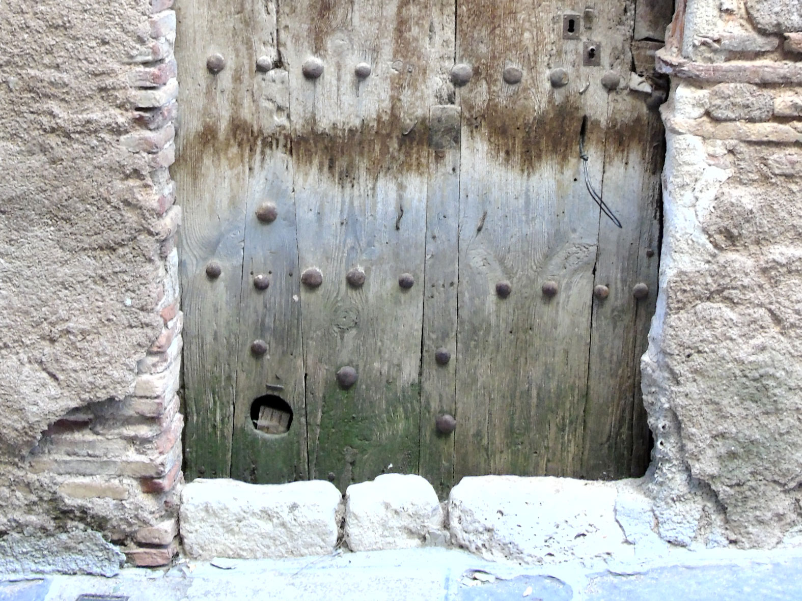 Daroca-(244)
