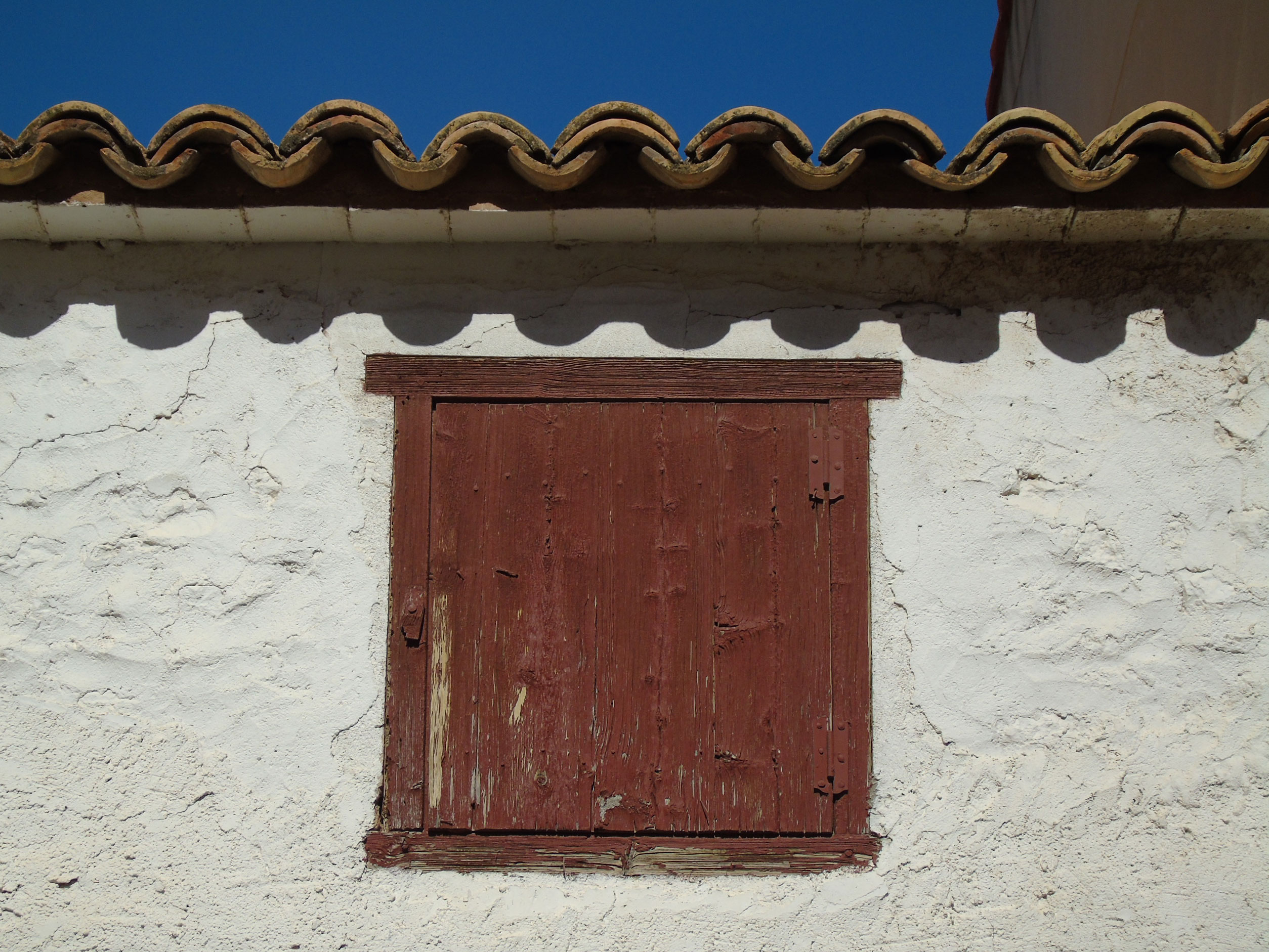 Longares-(50)